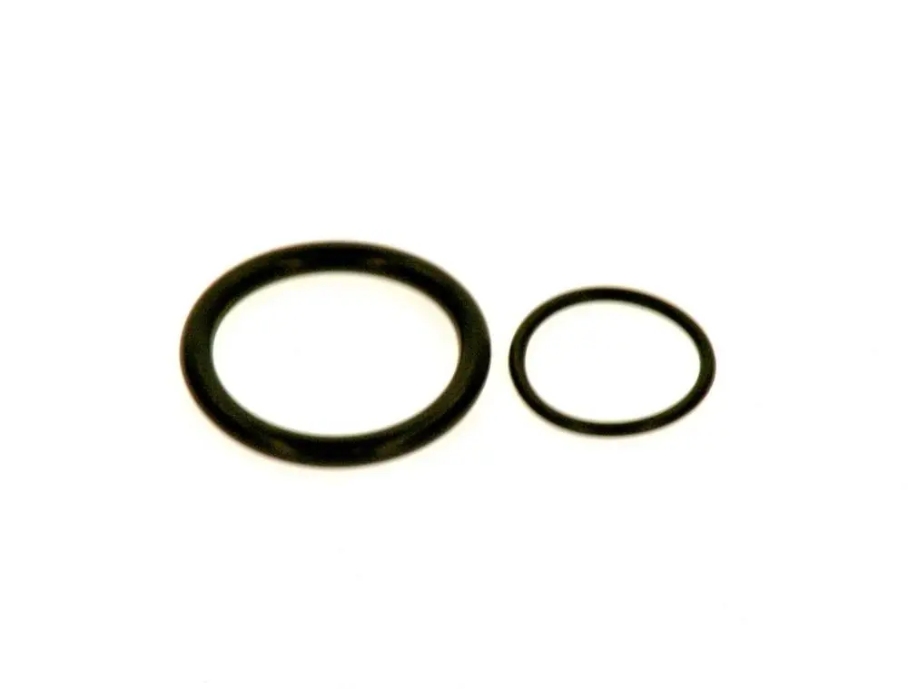 Zwei O-Ringe in unterschiedlichen Größen, erkennbar an der schwarzen Farbe, ideal für Dichtungen, hergestellt von Bosch.